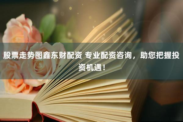 股票走势图鑫东财配资 专业配资咨询，助您把握投资机遇！