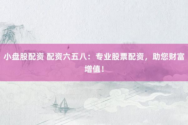 小盘股配资 配资六五八：专业股票配资，助您财富增值！