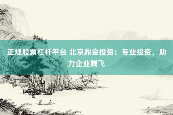 正规股票杠杆平台 北京鼎金投资：专业投资，助力企业腾飞