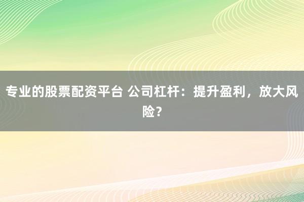 专业的股票配资平台 公司杠杆：提升盈利，放大风险？