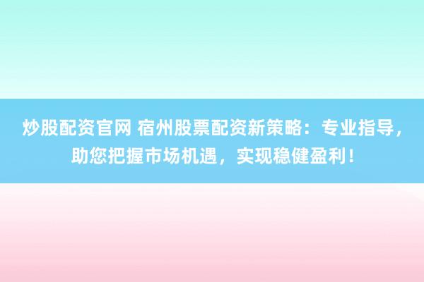 炒股配资官网 宿州股票配资新策略：专业指导，助您把握市场机遇，实现稳健盈利！