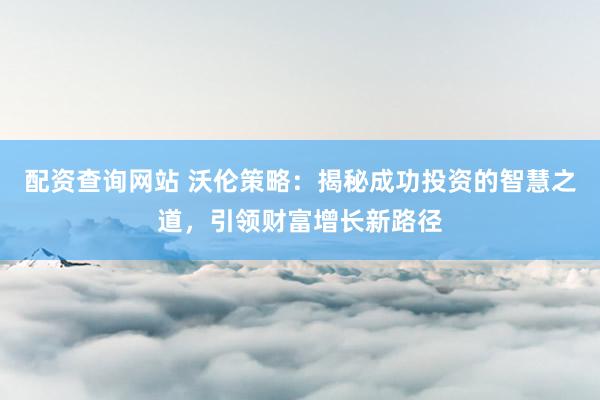 配资查询网站 沃伦策略：揭秘成功投资的智慧之道，引领财富增长新路径