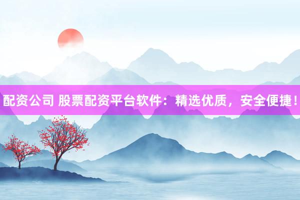 配资公司 股票配资平台软件：精选优质，安全便捷！