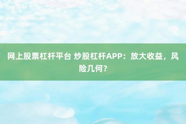 网上股票杠杆平台 炒股杠杆APP：放大收益，风险几何？