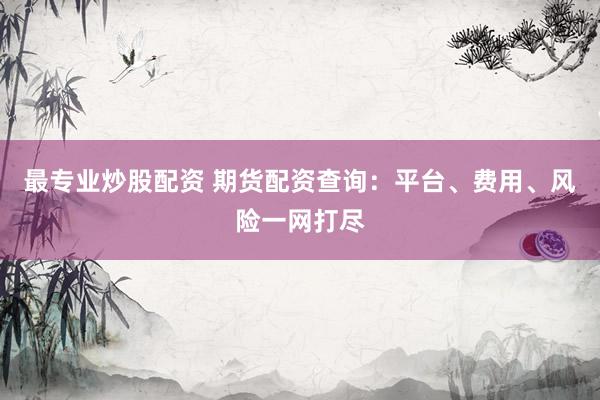最专业炒股配资 期货配资查询：平台、费用、风险一网打尽