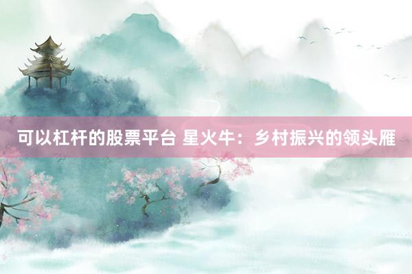 可以杠杆的股票平台 星火牛：乡村振兴的领头雁