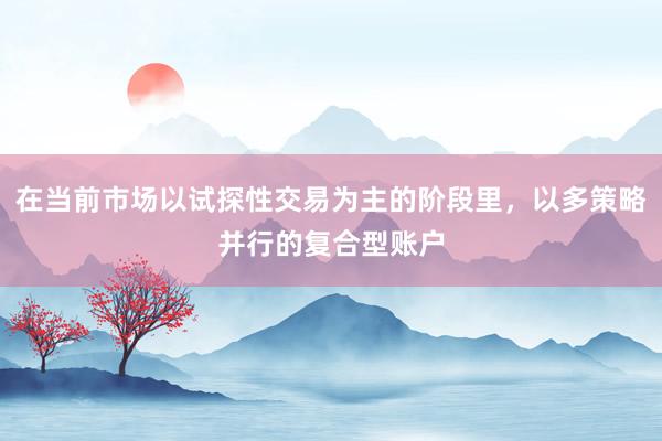 在当前市场以试探性交易为主的阶段里,以多策略并行的复合型账户
